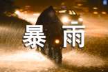 暴雨的作文(優(yōu)選15篇)