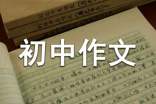 【精華】優(yōu)秀初中作文600字五篇