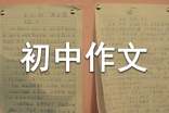 初中作文評(píng)分標(biāo)準(zhǔn)