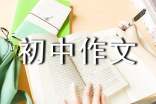【精華】?jī)?yōu)秀初中作文400字匯總八篇