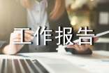 項目建設工作報告