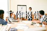 最新個人業(yè)績工作報告