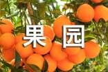 果園的作文范例(15篇)