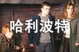 【推薦】《哈利波特》觀后感