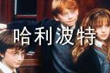 我和哈利波特過(guò)一天作文