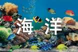 未來的海洋作文400字