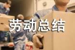 勞動(dòng)總結(jié)和感想(通用13篇)