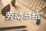 勞動總結和感想(精選20篇)