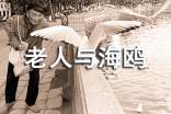 《老人與海鷗》讀后感