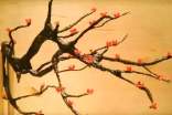 關(guān)于贊美梅花的詩句4篇