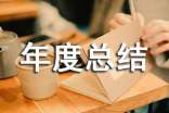 個人年度總結(jié)報告
