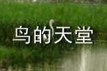 鳥(niǎo)的天堂教學(xué)實(shí)錄實(shí)用【9篇】