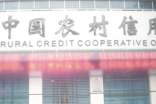 農(nóng)村信用社借款申請書范文通用