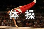 體操賽作文