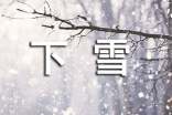 描寫下雪的優(yōu)秀作文600字(精選44篇)
