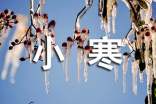 描寫節(jié)氣小寒的優(yōu)美詩句