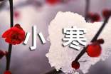 描寫小寒節(jié)氣的優(yōu)美詩句(精選150句)
