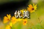 現(xiàn)代優(yōu)美散文欣賞_散文大全