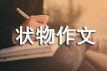 【實(shí)用】狀物作文集合10篇