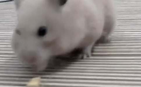 ��(d��ng)��}������150�֣�ͨ��4ƪ��