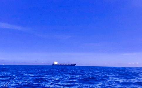 �󺣵�����600��[����4ƪ]