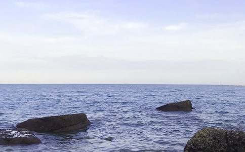 精選大海寫景作文300字匯總8篇