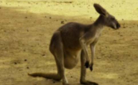 (��(y��u)�x)���������15ƪ