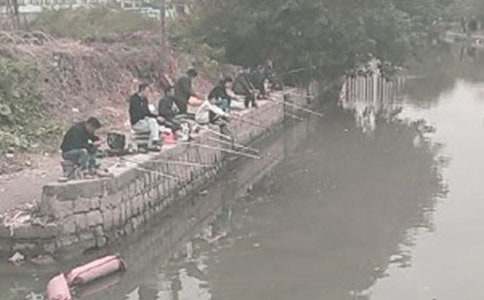 小班上冊體育活動教案:小貓釣魚