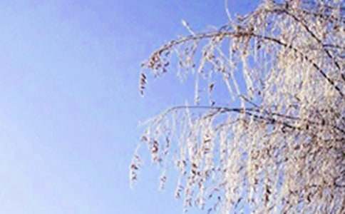 關(guān)于五年級(jí)冬天作文4篇