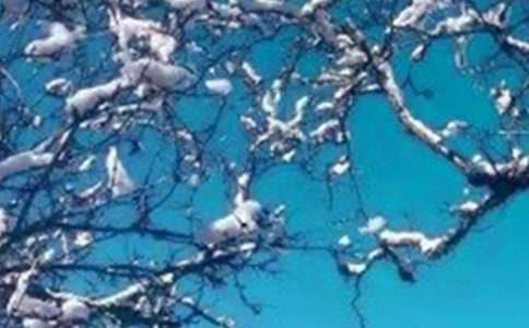 五年級冬天寫景作文