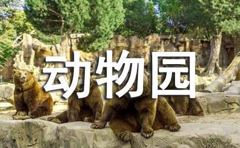 小小動物園話題作文9篇