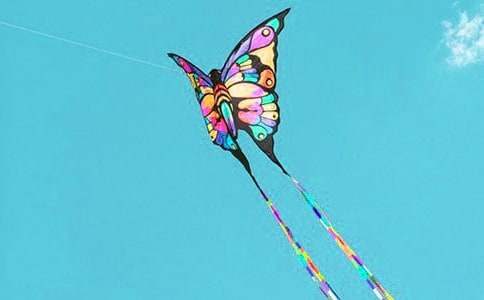 �����L(f��ng)�~����15ƪ[ͨ��]