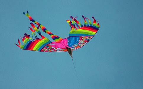 放風(fēng)箏作文精華(15篇)