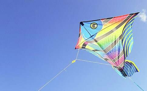 三個(gè)小朋友在放風(fēng)箏看圖寫(xiě)話