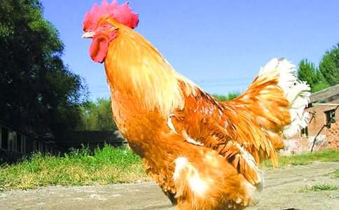 С���u��С���ӿ��D��Ԓ15ƪ������