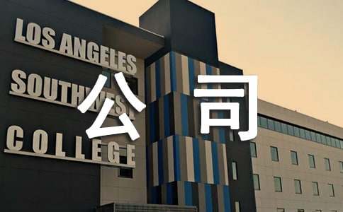 ��˾���飨����