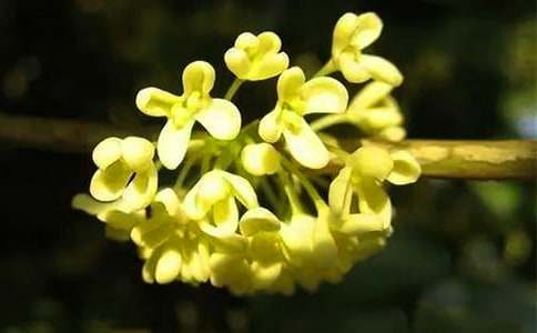 ��С�W(xu��)���ģ����x20ƪ��