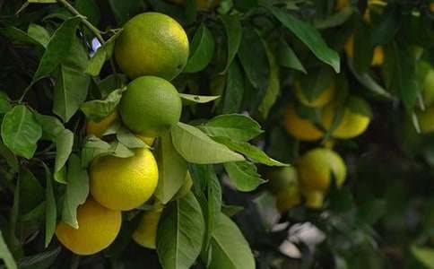 �S�յĹ��@����[����15ƪ]