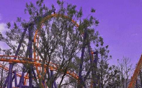 (實用)坐過山車作文15篇