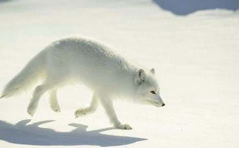 ���f�ͺ�؂�Ĺ��¾��x(15ƪ)