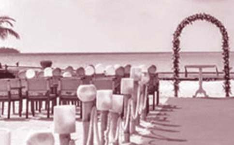 [��(y��u)�x]��Y�C�����C���~