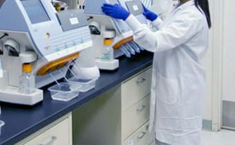 小學(xué)教研組長(zhǎng)職責(zé)