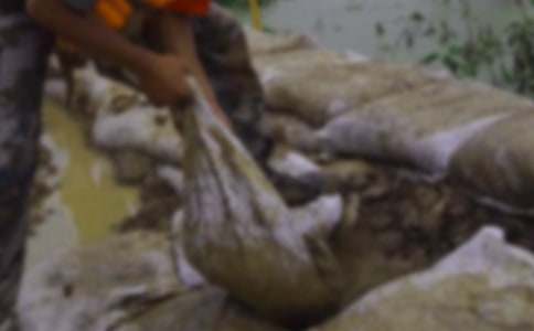 ����Ȟ�(z��i)���˹���