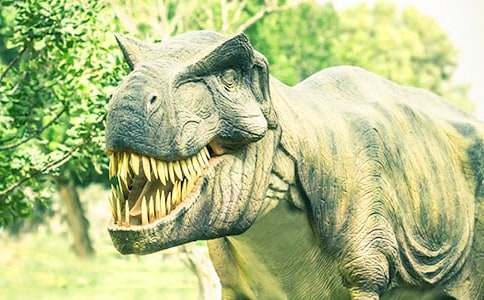 �������ģ���15ƪ��