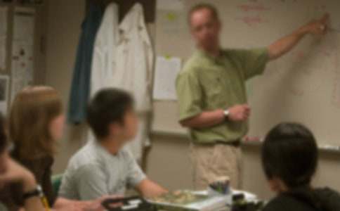 老師的一封信作文(共10篇)