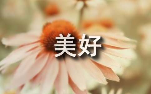 【優(yōu)秀】銘記那份美好作文