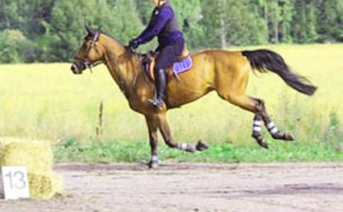 �а��w���T�Rȥ���ν̰�