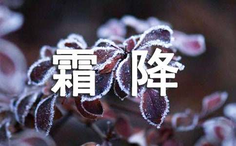霜降節(jié)氣養(yǎng)生小知識