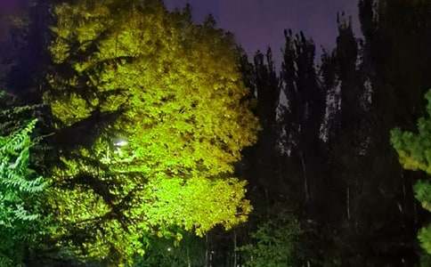 晚安暖心心語(yǔ)