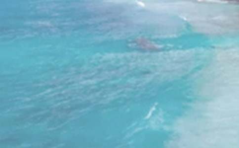 �����ã�����ԭ�ķ��g���p��